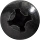 Phillips Pan Head License Plate Screw M6-1.0 X 16MM
