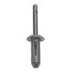Plastic Rivet 6.6mm