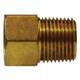 3/8 X 3/8 Female Inverted Flare X MIP Adapter