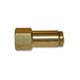 Brass Push-To-Connect - DOT Air Brake - Nylon Tubing Female Connector - 1/4 In Tube TO 1/8 In Female Pipe Thread (FPT)
