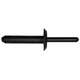 Blind Rivet