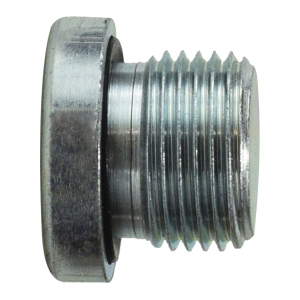 3/8-19 Hollow Hex Plug BSPP